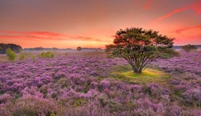 Natuurfoto-in-de-praktijk