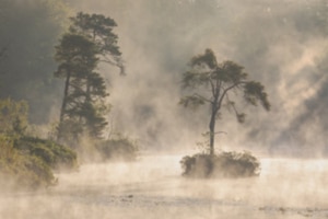 Natuurfoto-in-de-praktijk