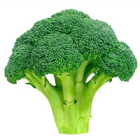 broccoli1