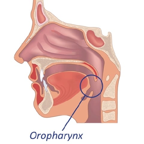 hpv bij mannen opsporen