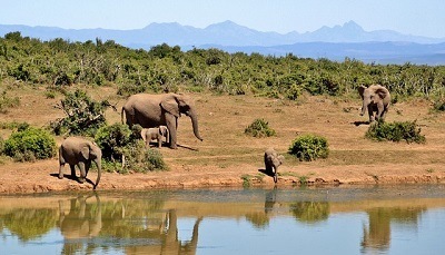 Zuid-Afrika