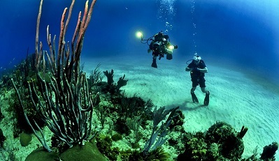 scuba diving