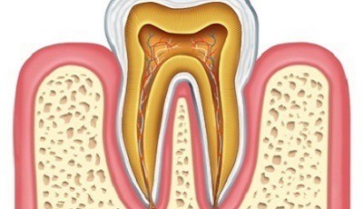 Endodontie