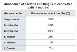 Pathogenen betrokken bij vorming gaatjes