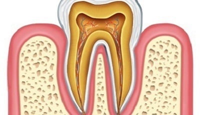 Richtlijn endodontische diagnostiek en behandeling