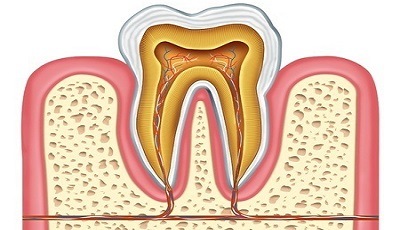 endodontologie