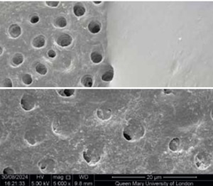 Voco profluorid
