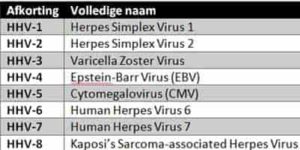 De rol van schimmels, archaea, protisten en virussen bij parodontitis: een update