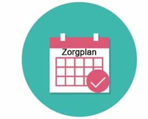 Voorbeeld Invoeren zorgplan