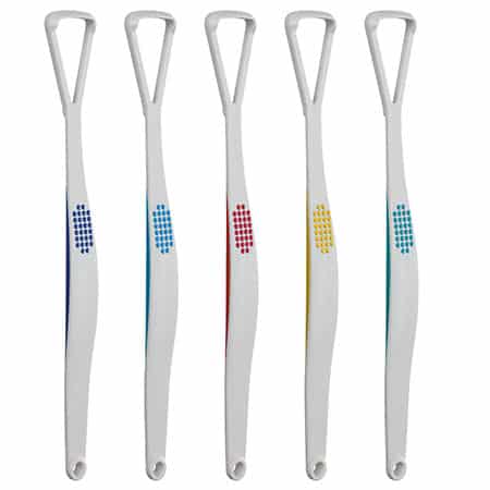 manager Beginner Begrip Nieuw: Lactona EcoBrush | Vernieuwde Lactona iQ Tongreiniger - dental INFO