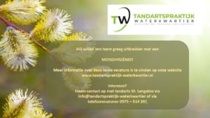 Tandartspraktijk Waterkwartier, Vacature: Mondhygiënist gezocht - Zutphen