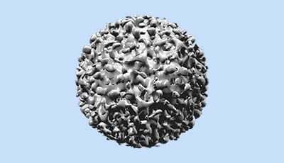 Hepatitis b RIVM aangepaste werkwijze rondom preventie van iatrogene transmissie van HBV, HCV en hiv